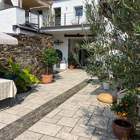 Ferienwohnung Zur Alten Schmiede Winningen Exteriör bild